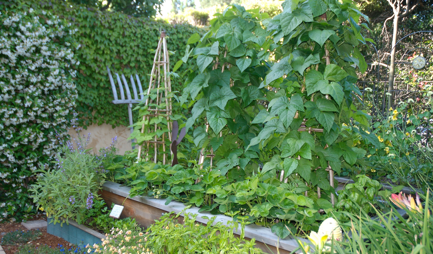 Container garden service